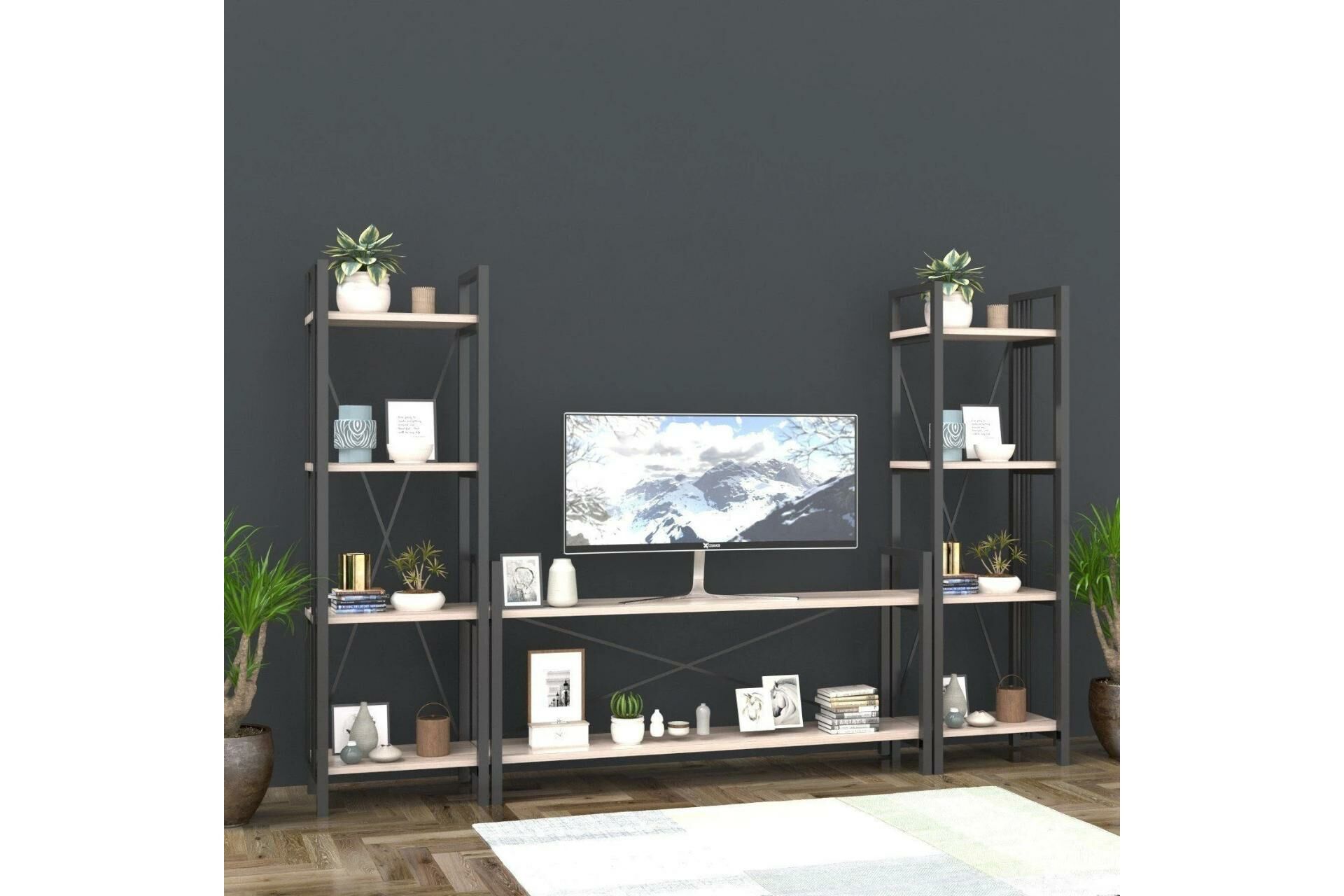 Dora Metal Tv Ünitesi 2 Kitaplıklı Cordoba